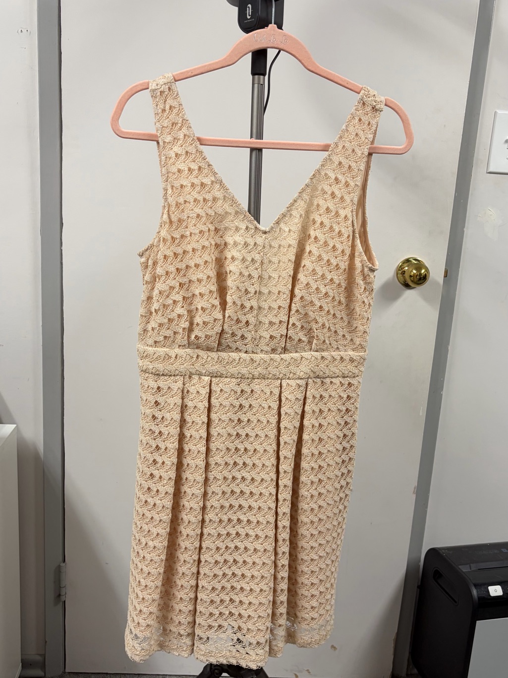 Bcbg Sleeveless V-Neck Lace A-Line Dress In Beige